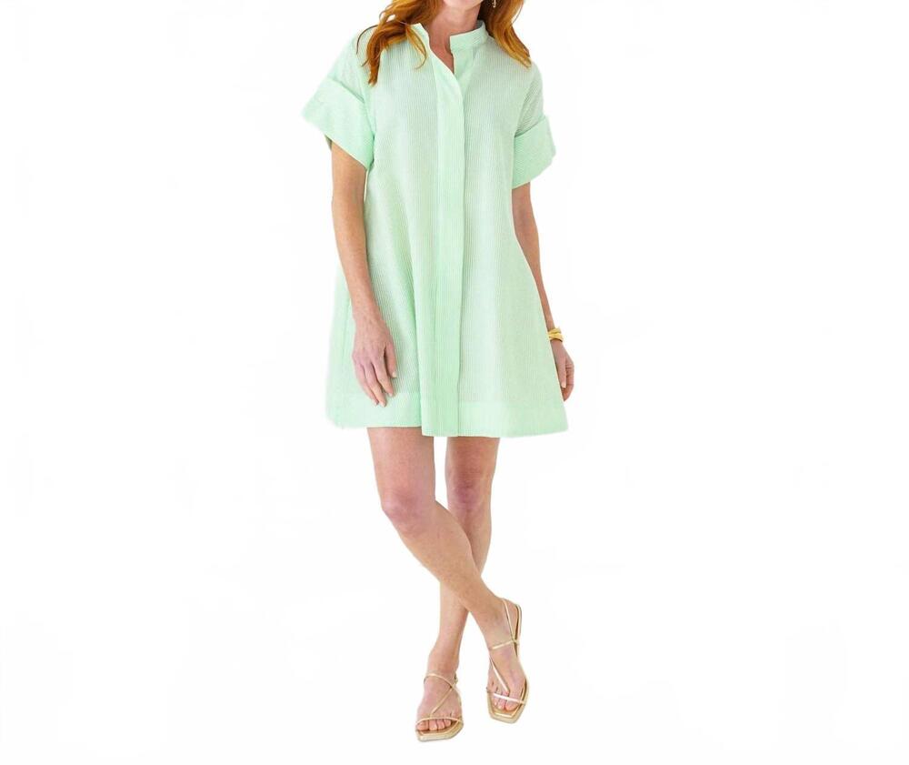 NEW CARYN LAWN margo seersucker mini dress in green